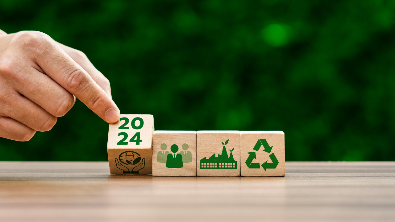 United Nations Sustainable Development Goals
