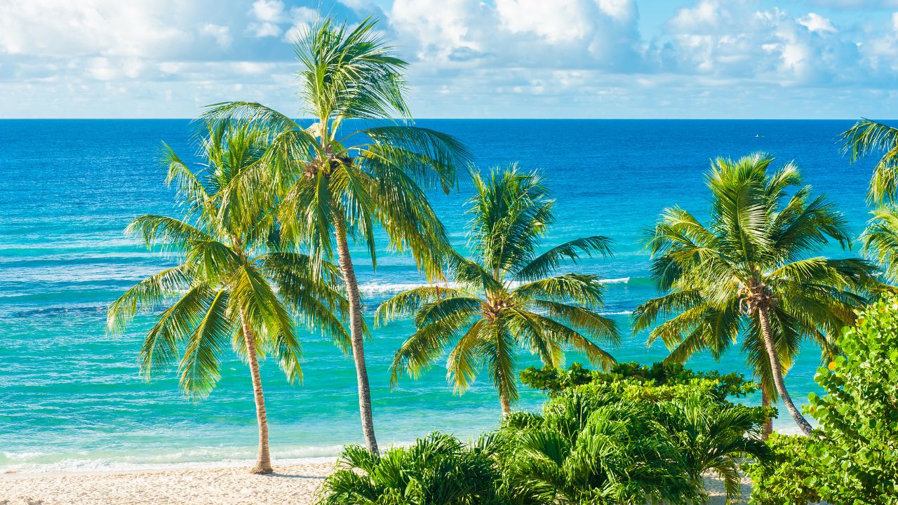 A practical way to analyse the region is to distinguish between Central America and the Caribbean based on their functional roles within your wealth strategy.
